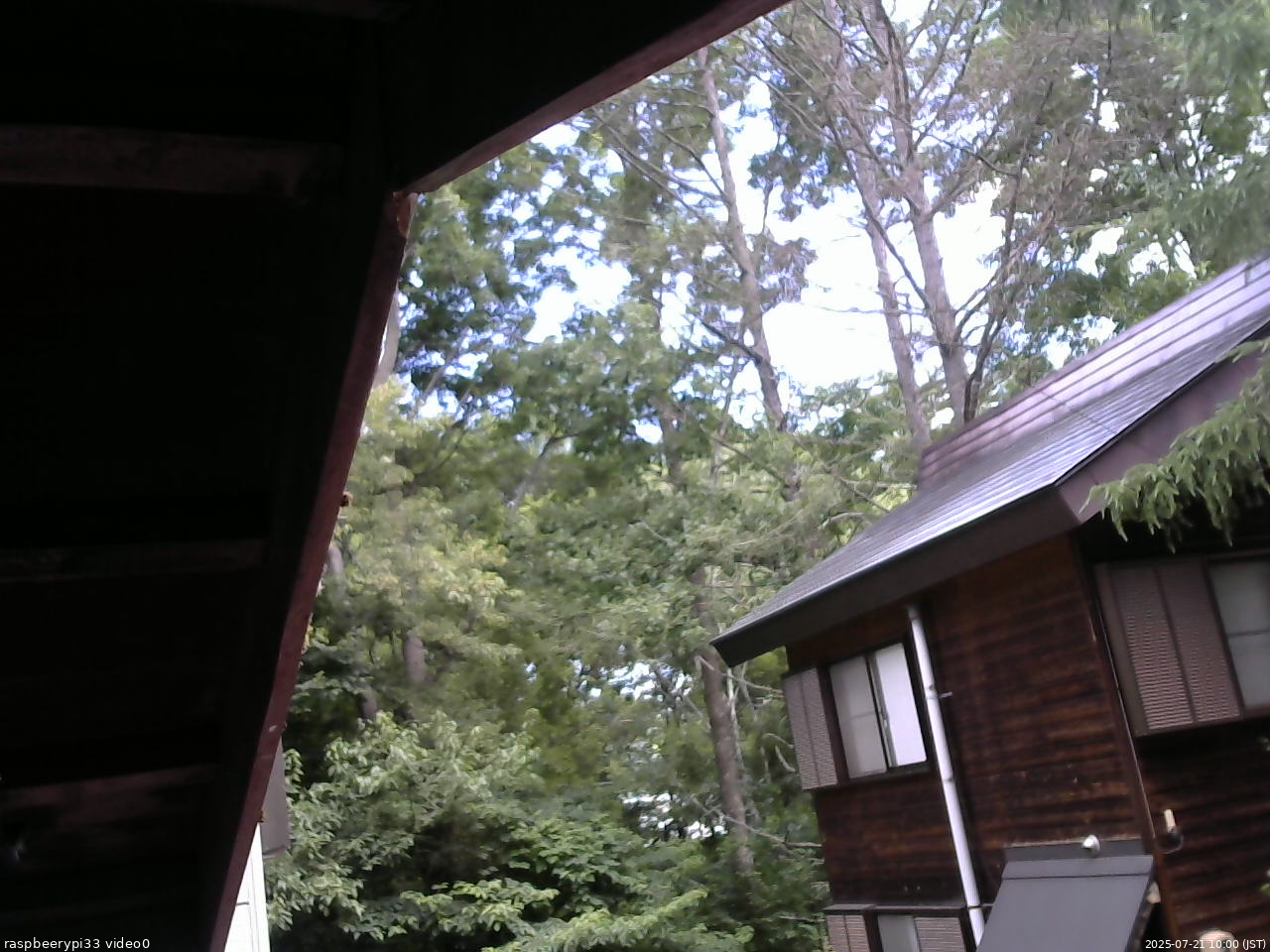 長野県菅平高原 ゆたか山荘 北側 2025/07/21 10:00