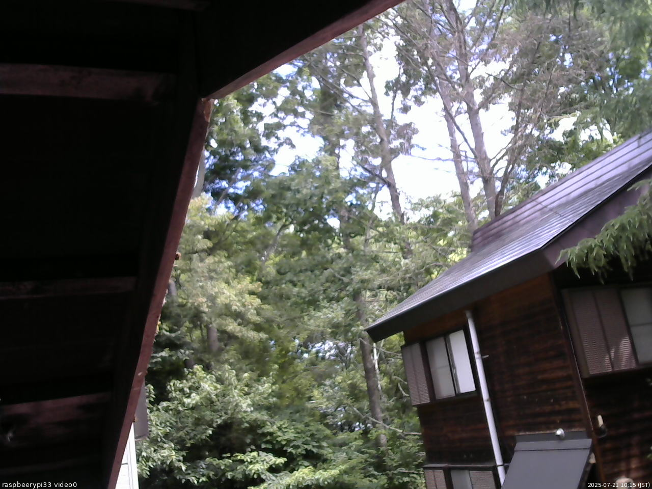 長野県菅平高原 ゆたか山荘 北側 2025/07/21 10:15