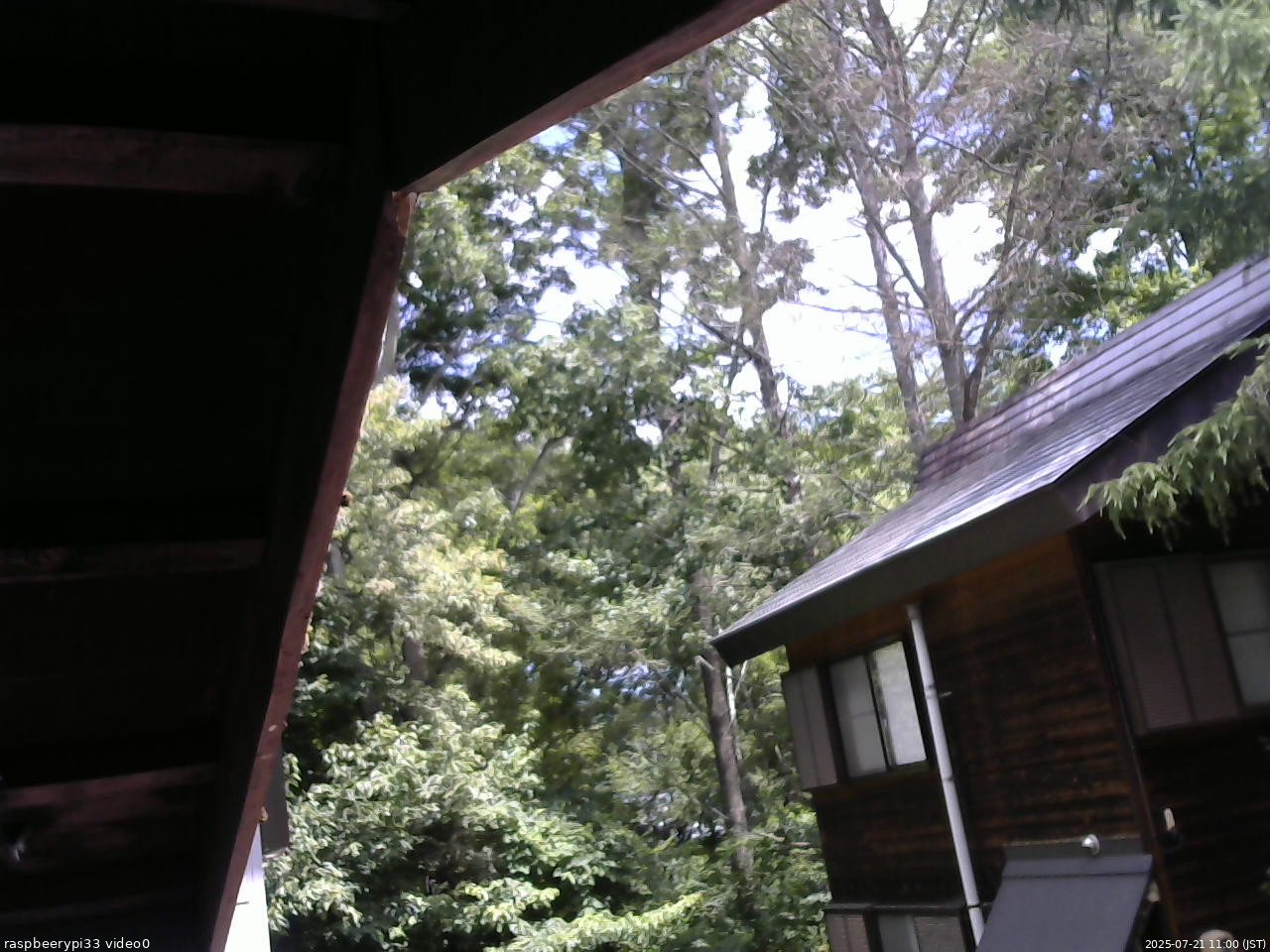 長野県菅平高原 ゆたか山荘 北側 2025/07/21 11:00