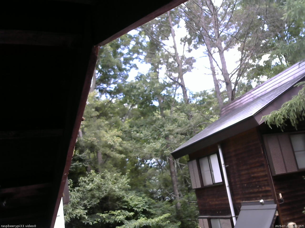 長野県菅平高原 ゆたか山荘 北側 2025/07/21 11:30