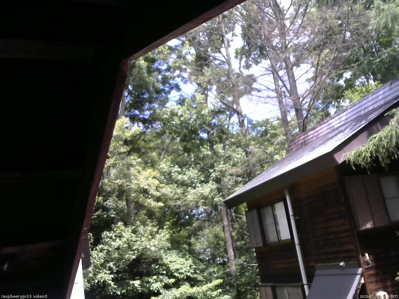 長野県菅平高原 ゆたか山荘 北側 2025/07/21 11:45