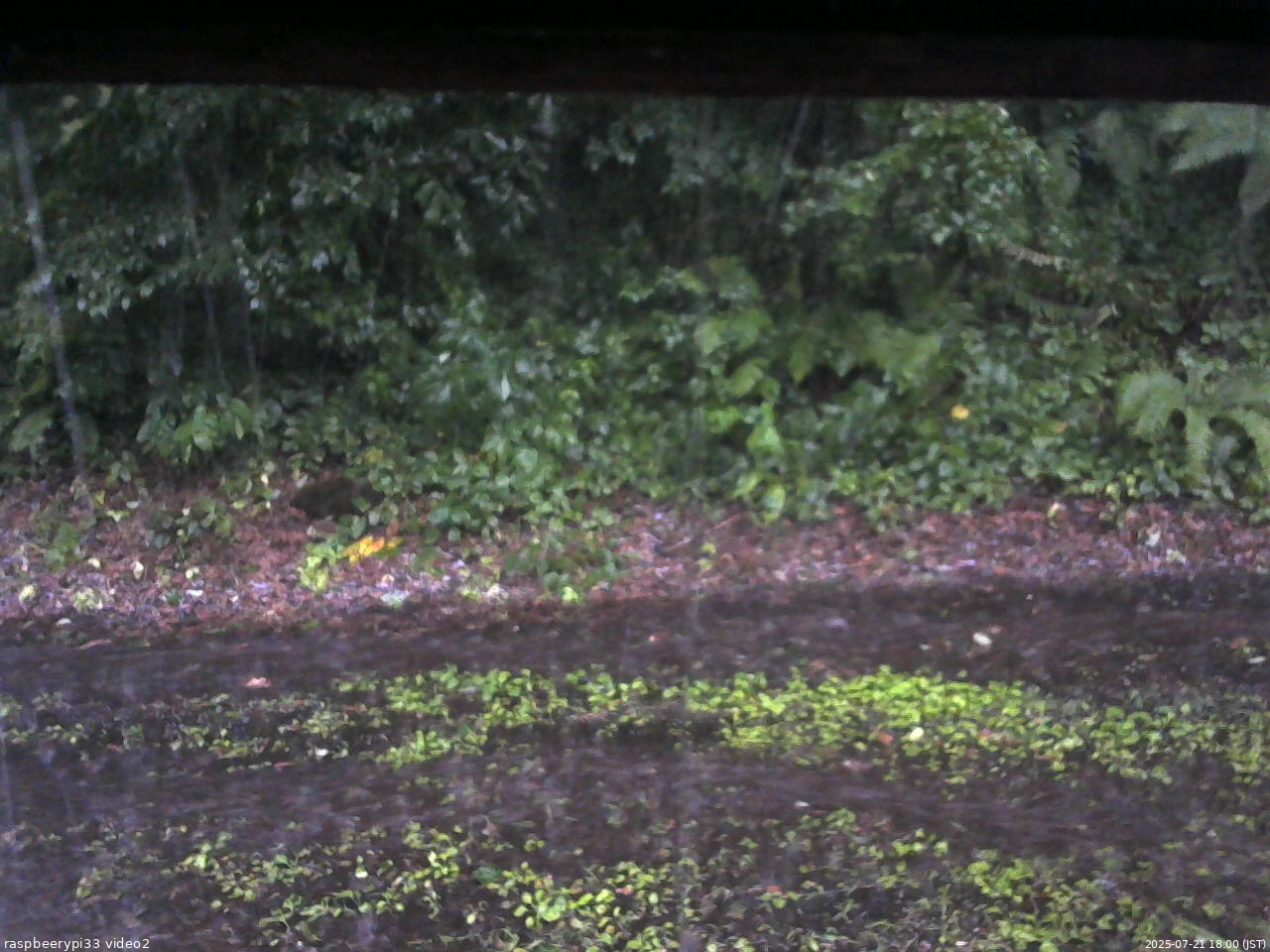 長野県菅平高原 ゆたか山荘 南側 2025/07/21 18:00