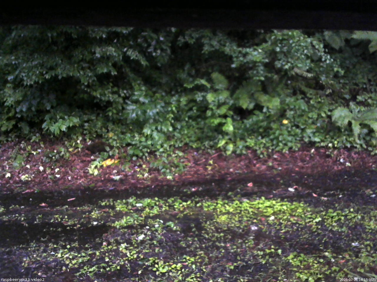 長野県菅平高原 ゆたか山荘 南側 2025/07/21 18:15