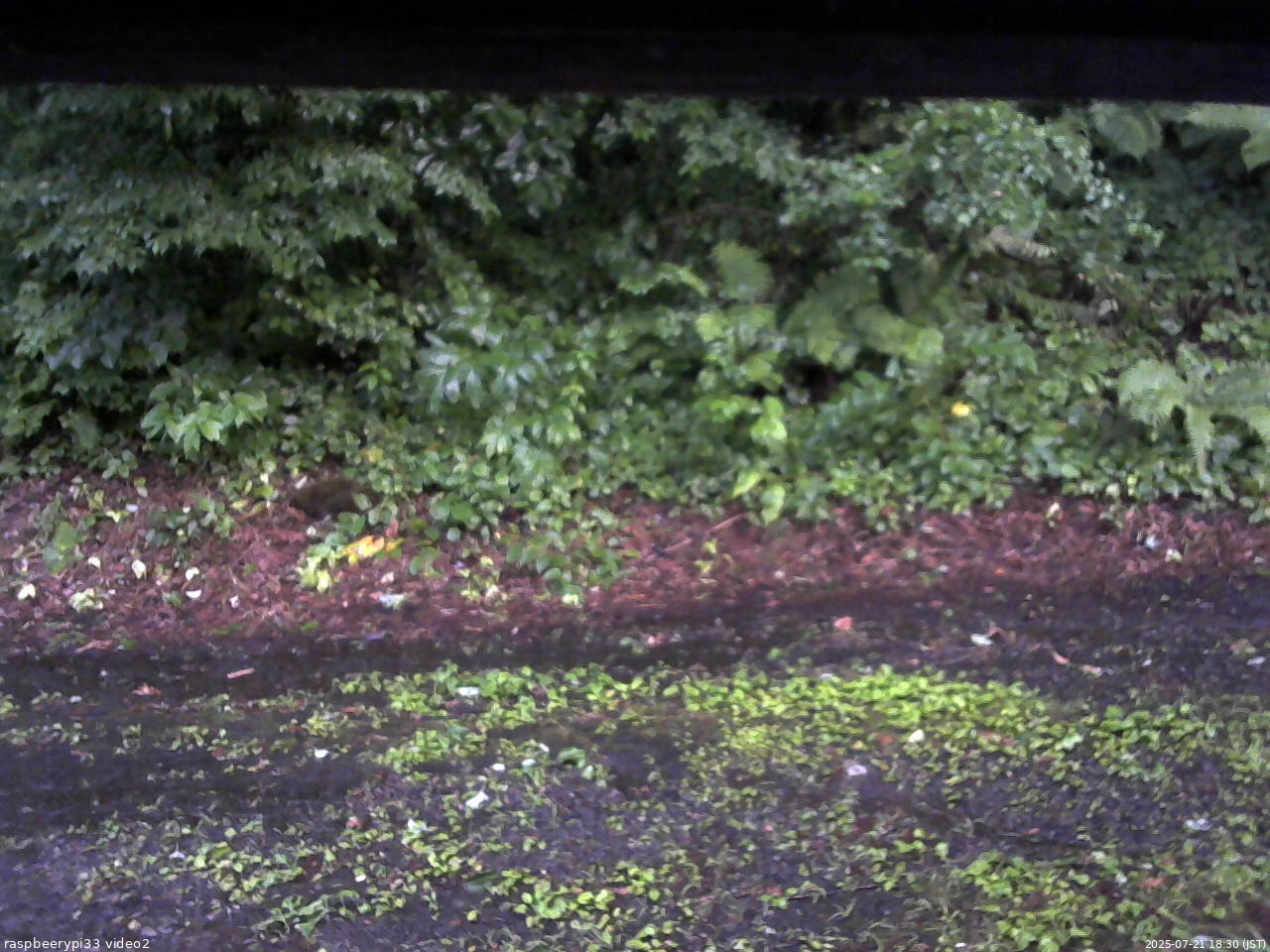 長野県菅平高原 ゆたか山荘 南側 2025/07/21 18:30