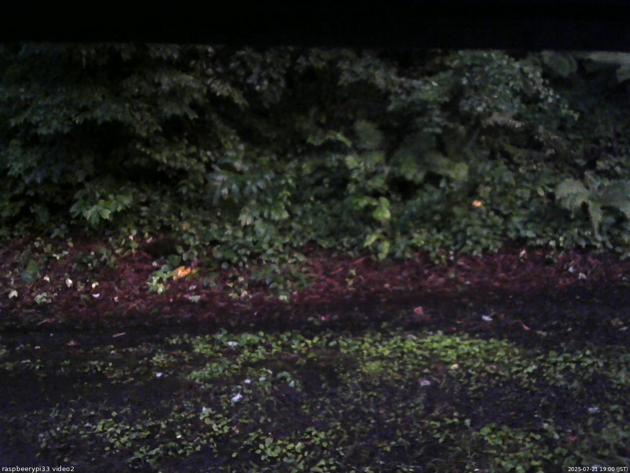 長野県菅平高原 ゆたか山荘 南側 2025/07/21 19:00