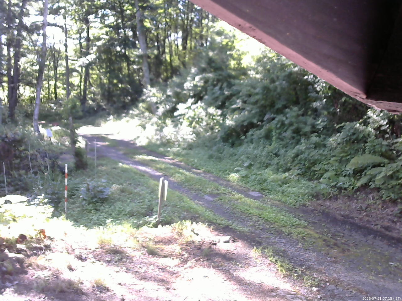 長野県菅平高原 ゆたか山荘 東側(坂下) 2025/07/21 07:15