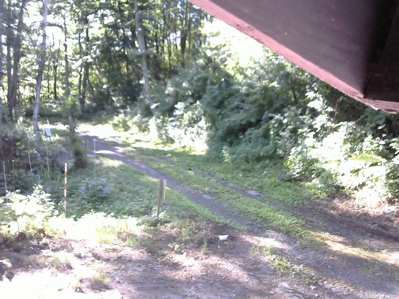 長野県菅平高原 ゆたか山荘 東側(坂下) 2025/07/21 07:30