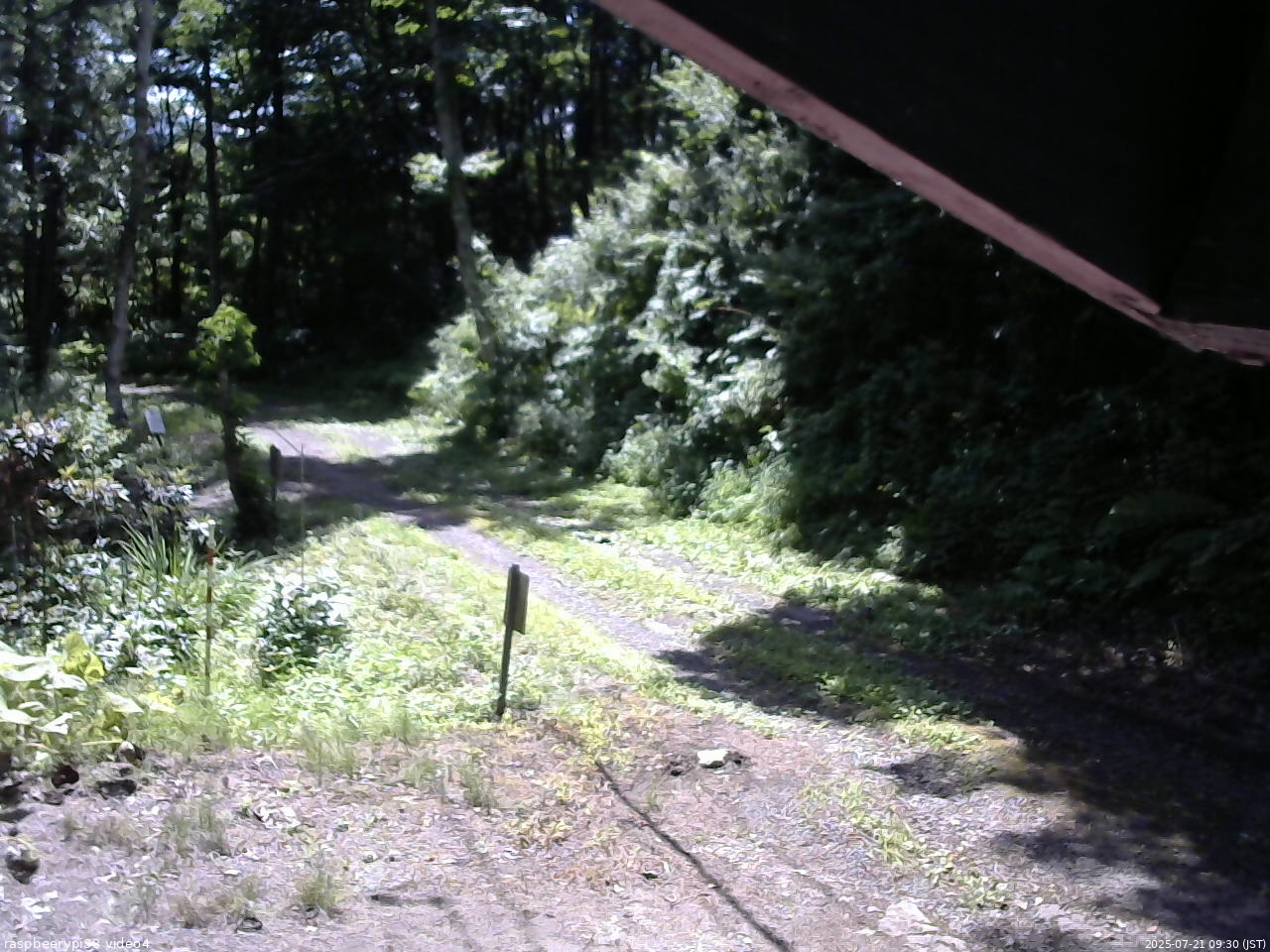長野県菅平高原 ゆたか山荘 東側(坂下) 2025/07/21 09:30