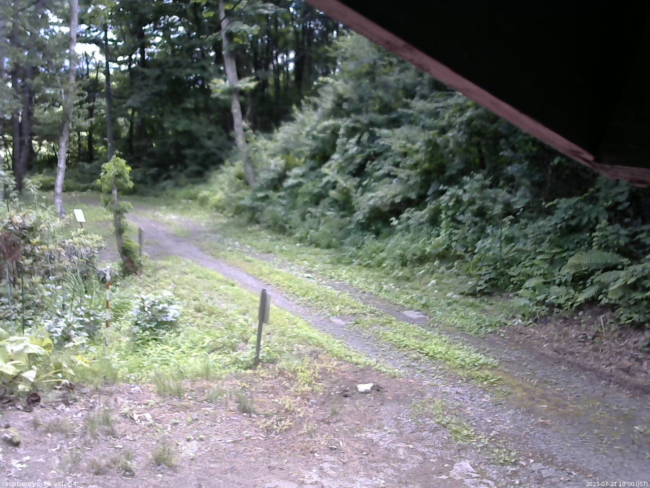長野県菅平高原 ゆたか山荘 東側(坂下) 2025/07/21 10:00