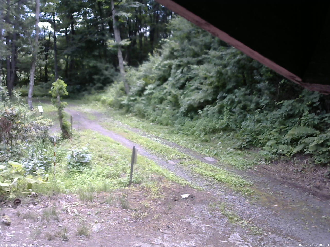 長野県菅平高原 ゆたか山荘 東側(坂下) 2025/07/21 10:30