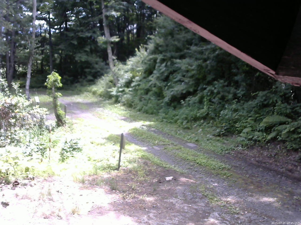 長野県菅平高原 ゆたか山荘 東側(坂下) 2025/07/21 10:45