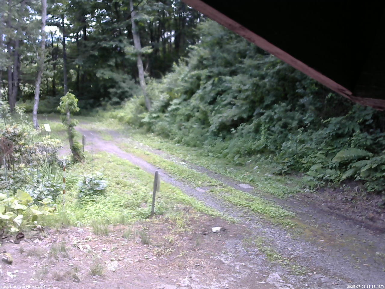 長野県菅平高原 ゆたか山荘 東側(坂下) 2025/07/21 11:15