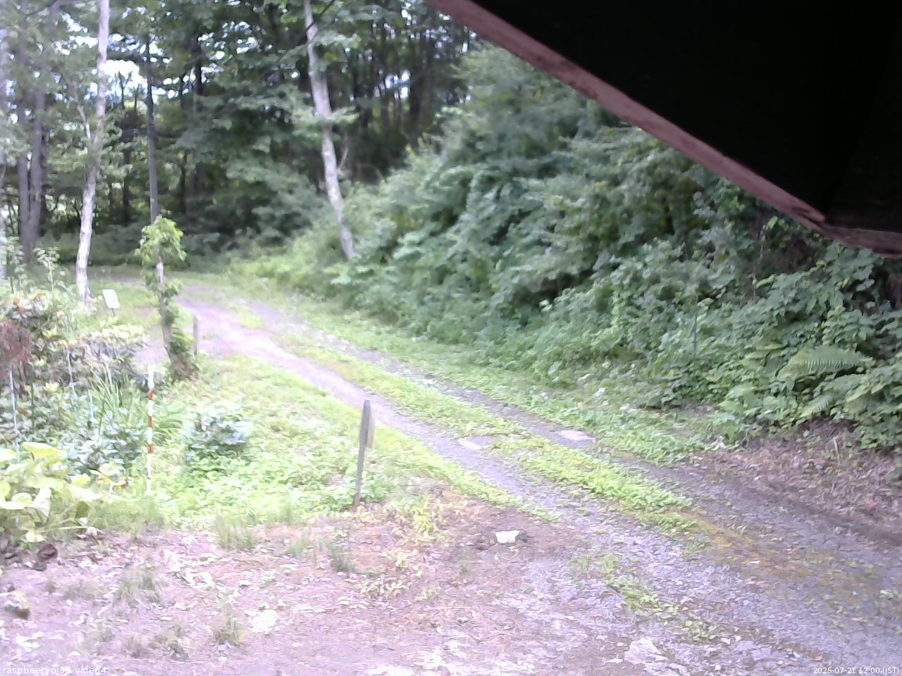 長野県菅平高原 ゆたか山荘 東側(坂下) 2025/07/21 12:00