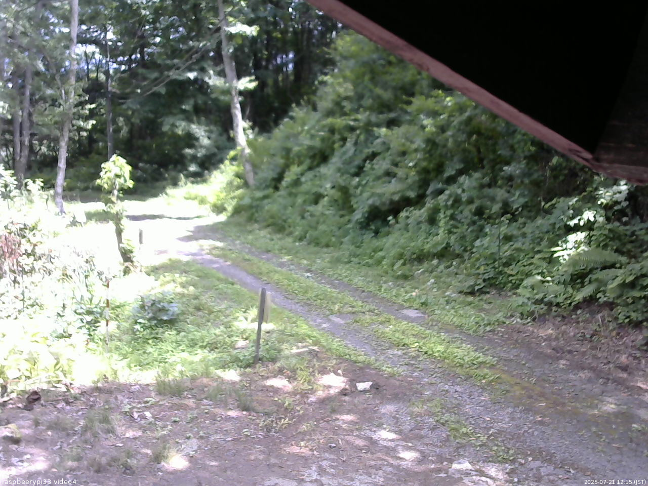 長野県菅平高原 ゆたか山荘 東側(坂下) 2025/07/21 12:15
