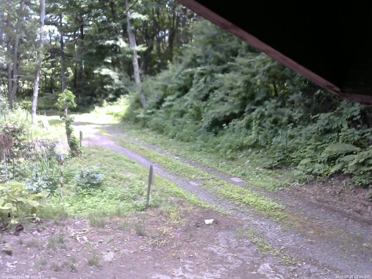 長野県菅平高原 ゆたか山荘 東側(坂下) 2025/07/21 12:45