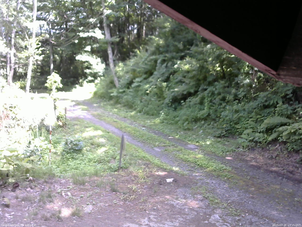 長野県菅平高原 ゆたか山荘 東側(坂下) 2025/07/21 13:15