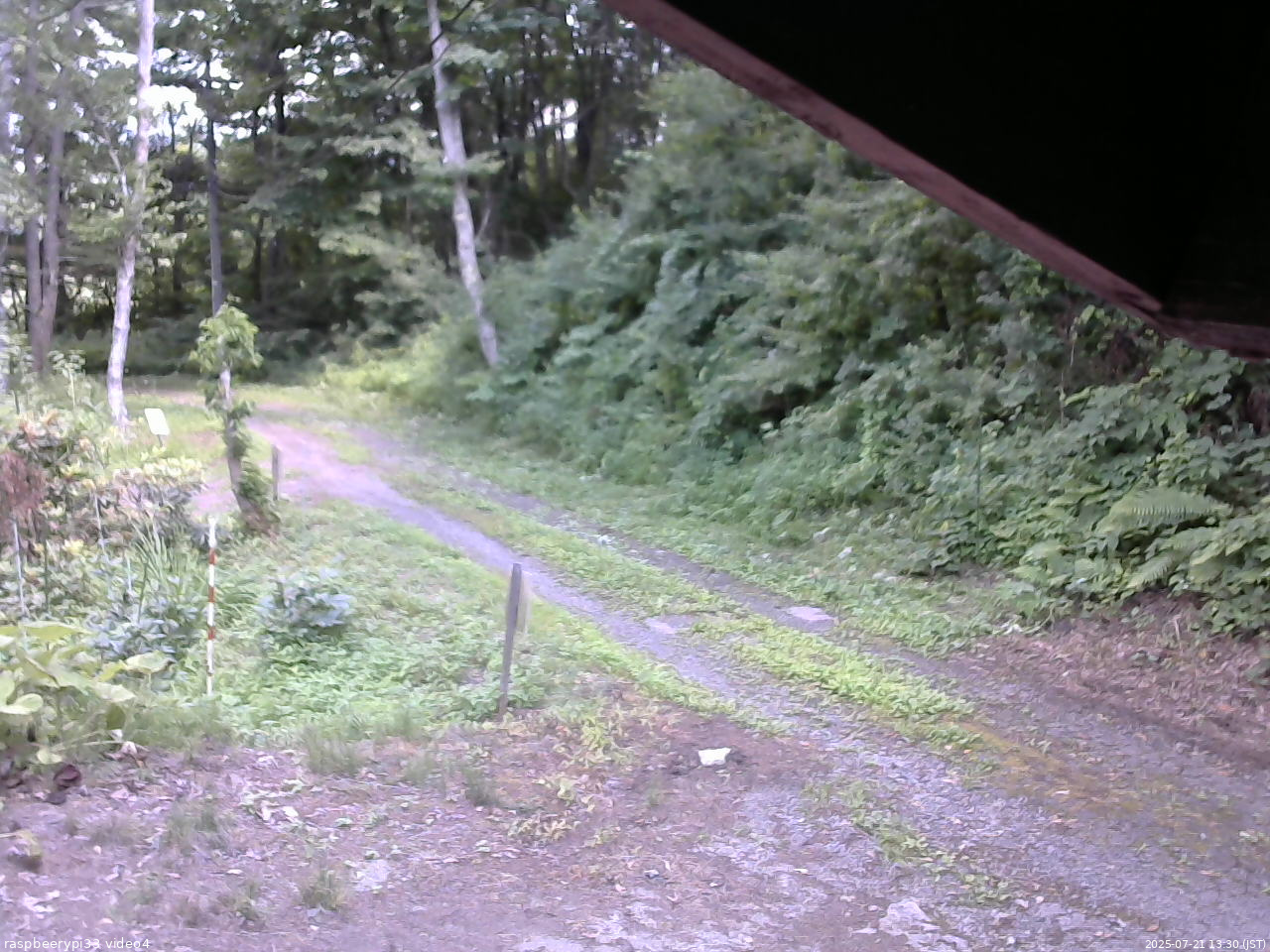 長野県菅平高原 ゆたか山荘 東側(坂下) 2025/07/21 13:30