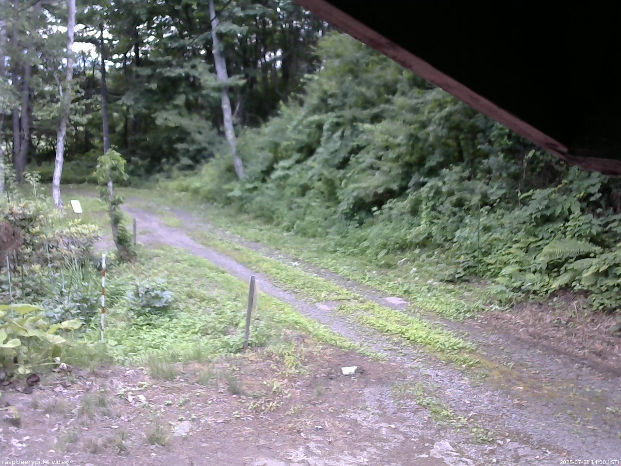 長野県菅平高原 ゆたか山荘 東側(坂下) 2025/07/21 14:00