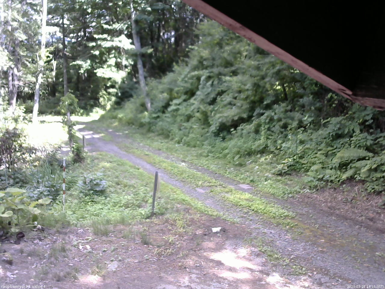長野県菅平高原 ゆたか山荘 東側(坂下) 2025/07/21 14:15