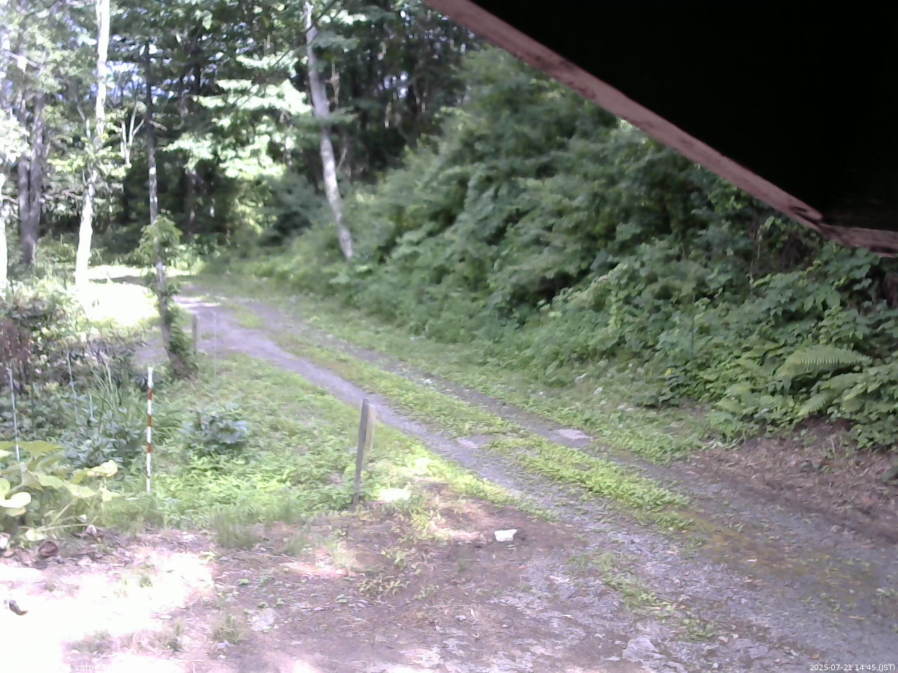 長野県菅平高原 ゆたか山荘 東側(坂下) 2025/07/21 14:45
