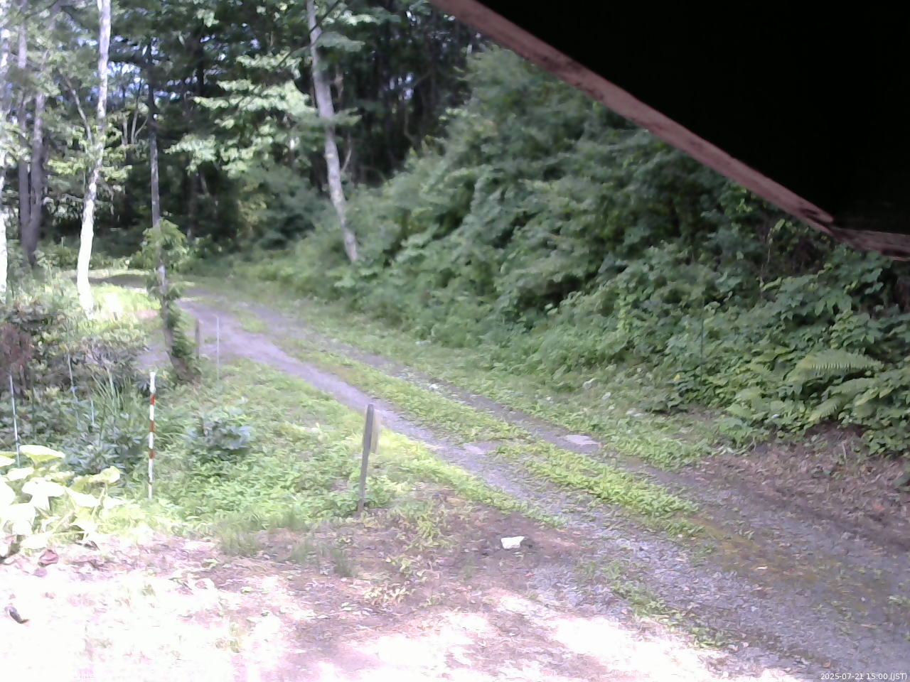 長野県菅平高原 ゆたか山荘 東側(坂下) 2025/07/21 15:00