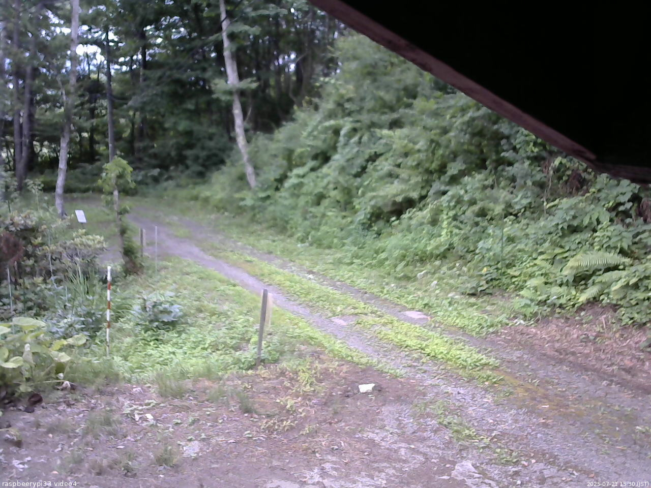 長野県菅平高原 ゆたか山荘 東側(坂下) 2025/07/21 15:30