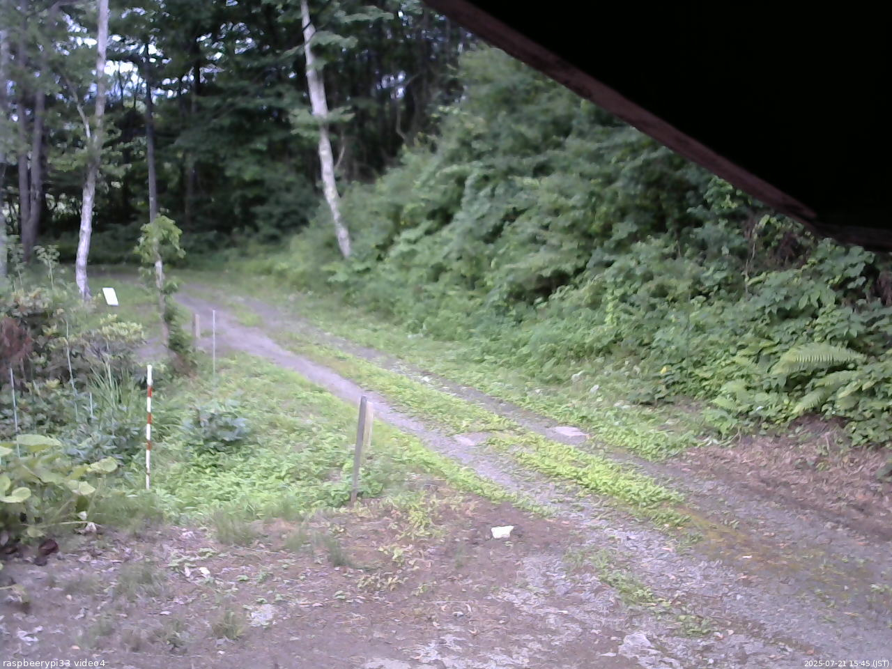 長野県菅平高原 ゆたか山荘 東側(坂下) 2025/07/21 15:45
