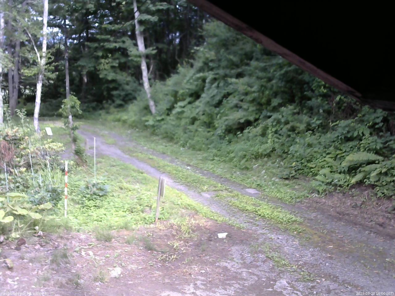 長野県菅平高原 ゆたか山荘 東側(坂下) 2025/07/21 16:00