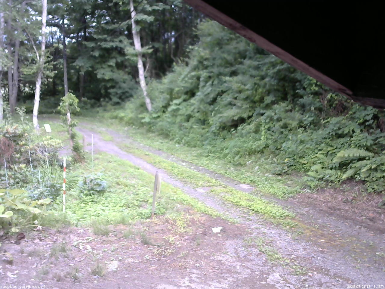長野県菅平高原 ゆたか山荘 東側(坂下) 2025/07/21 16:45