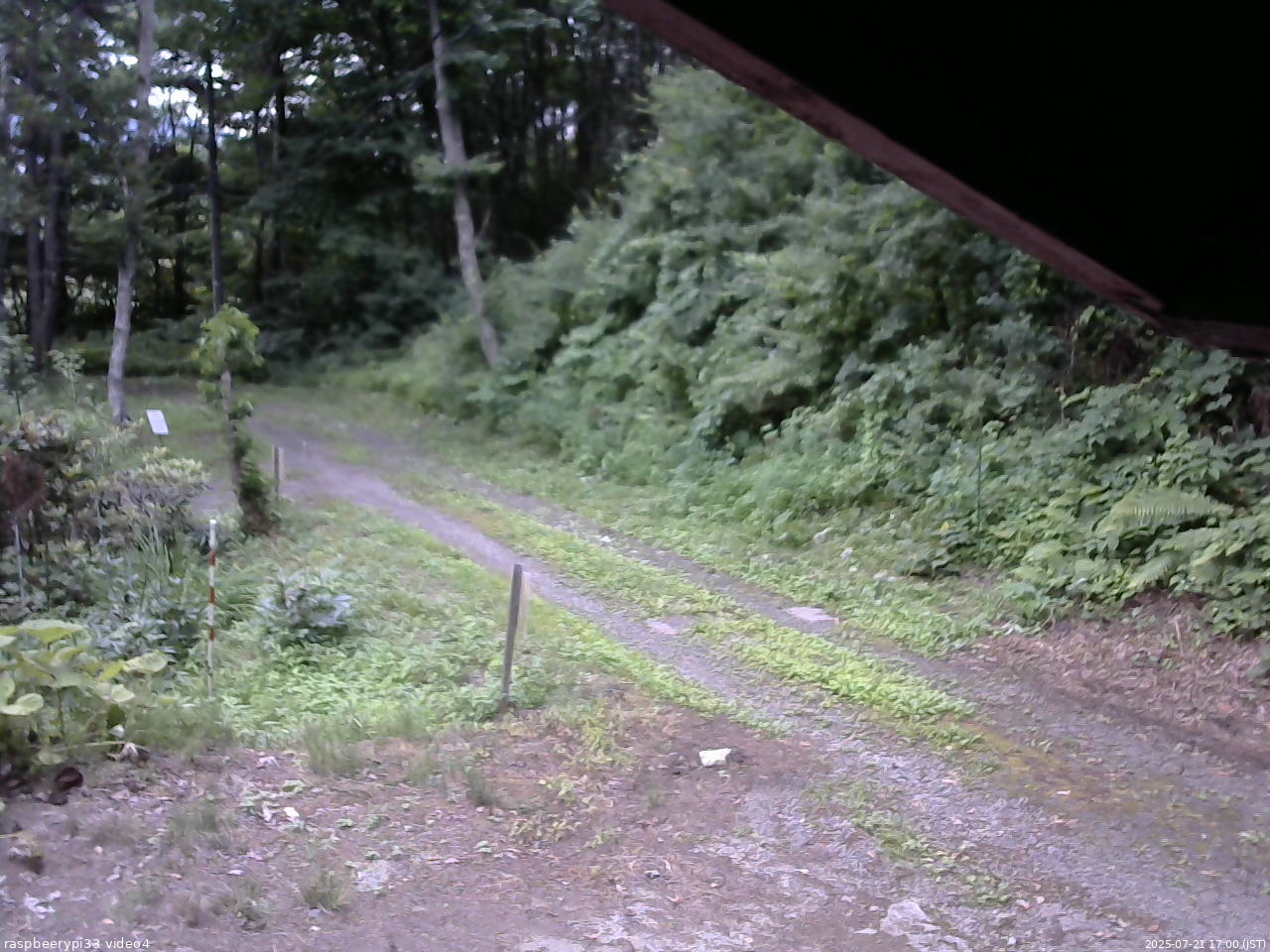 長野県菅平高原 ゆたか山荘 東側(坂下) 2025/07/21 17:00