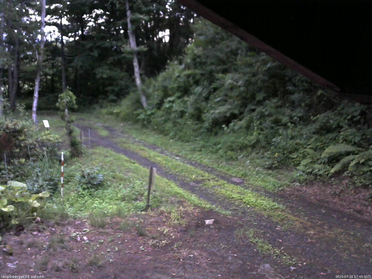 長野県菅平高原 ゆたか山荘 東側(坂下) 2025/07/21 17:45