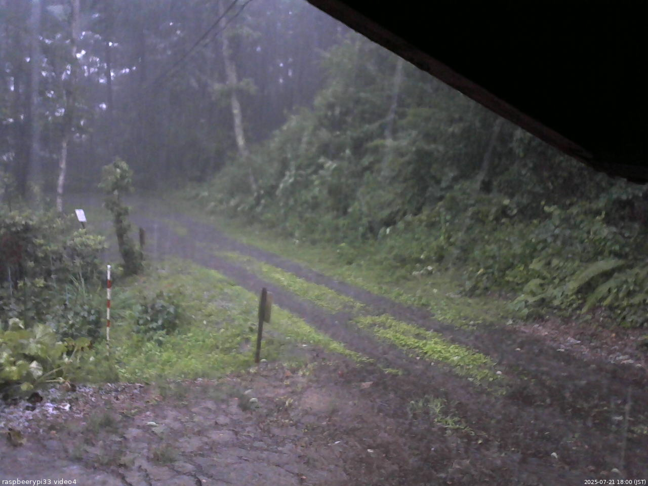 長野県菅平高原 ゆたか山荘 東側(坂下) 2025/07/21 18:00