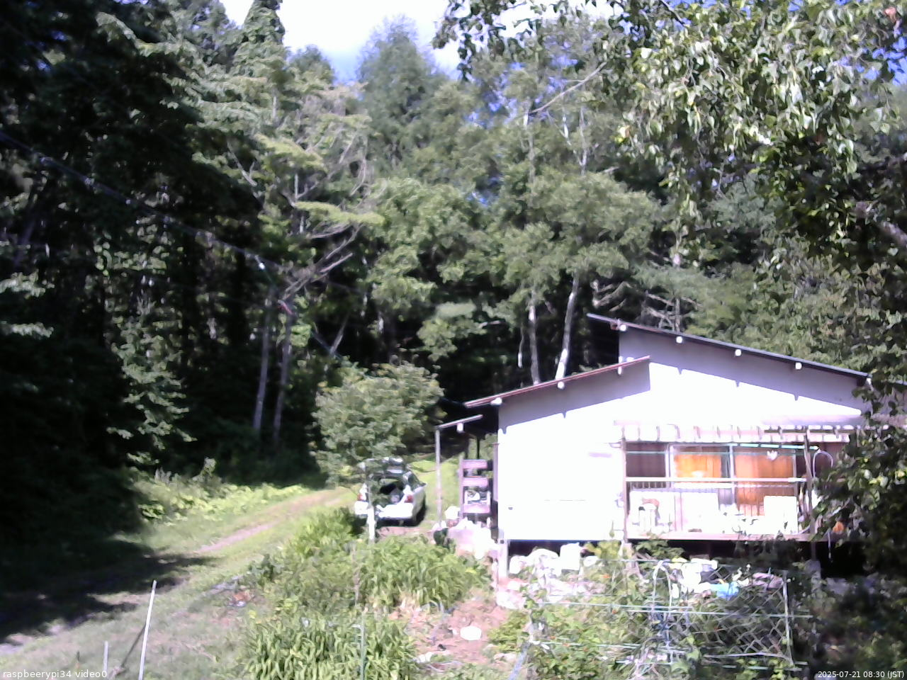 長野県菅平高原 ゆたか山荘 西側(坂上) 2025/07/21 08:30