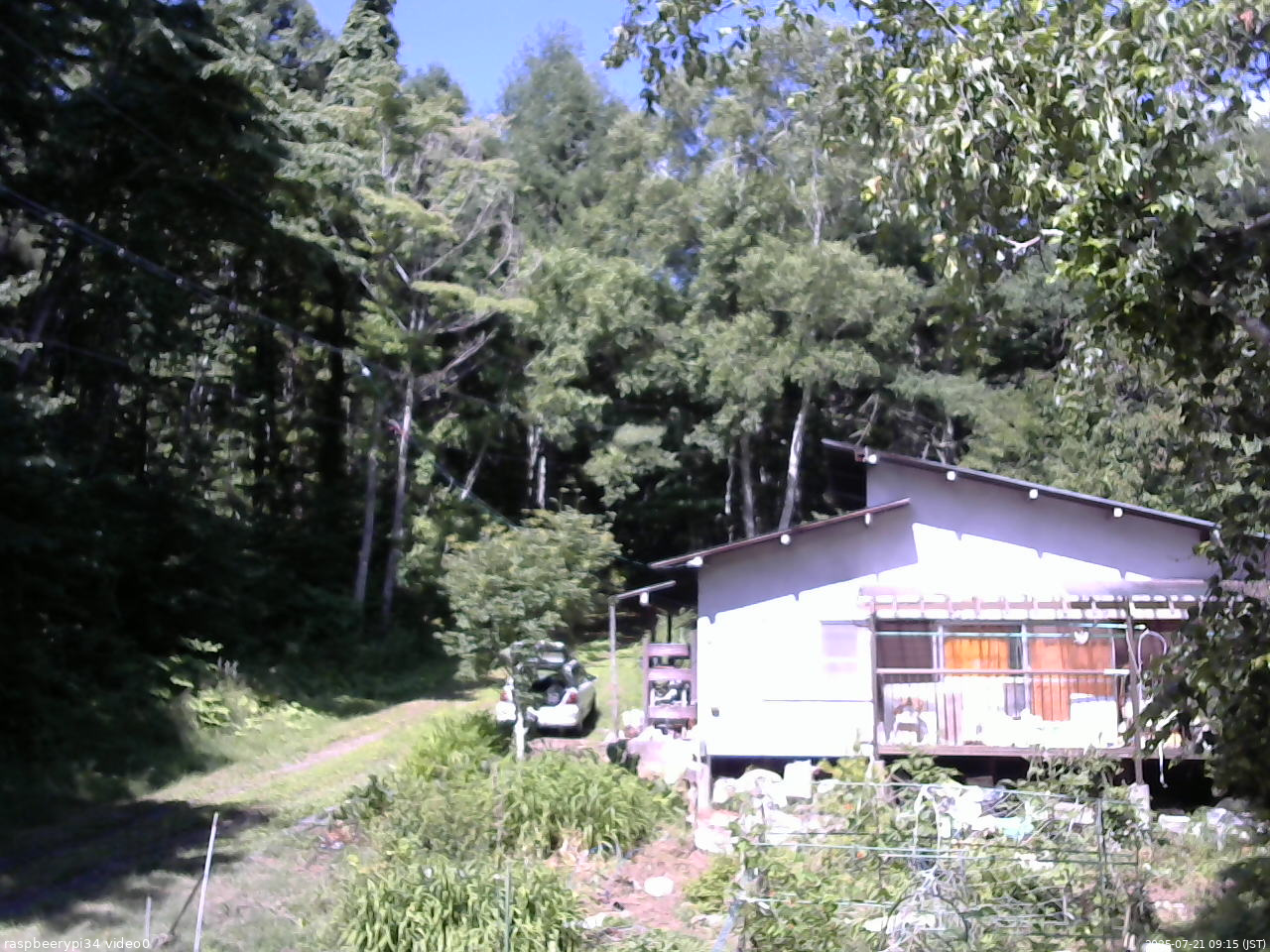 長野県菅平高原 ゆたか山荘 西側(坂上) 2025/07/21 09:15