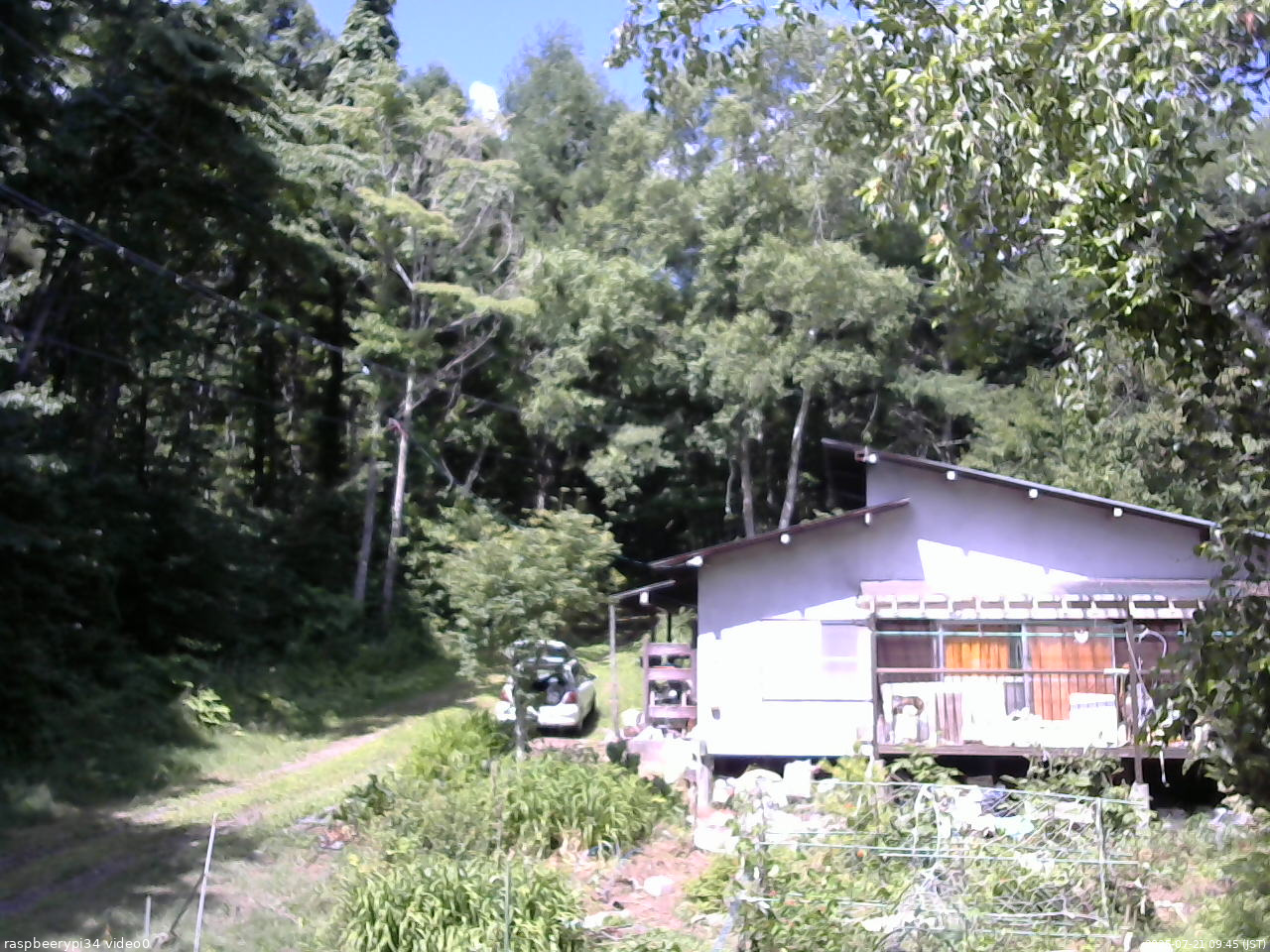 長野県菅平高原 ゆたか山荘 西側(坂上) 2025/07/21 09:45