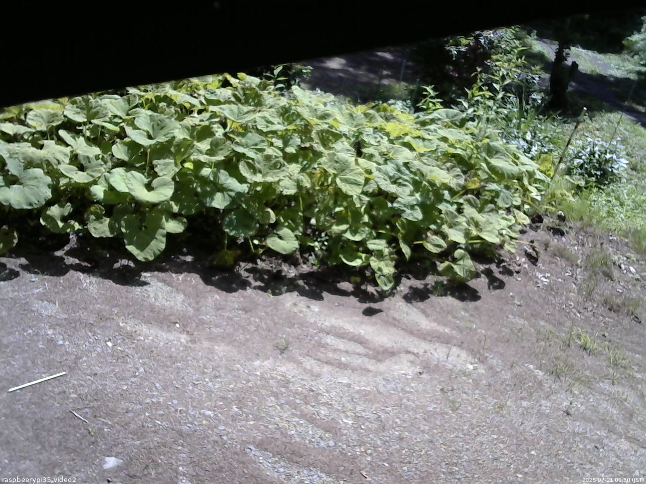 長野県菅平高原 ゆたか山荘 駐車場 2025/07/21 09:30