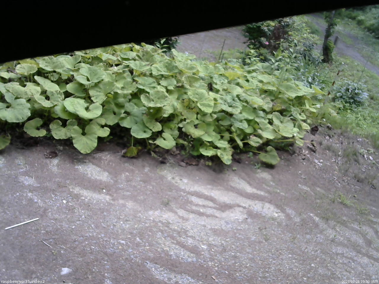 長野県菅平高原 ゆたか山荘 駐車場 2025/07/21 10:30