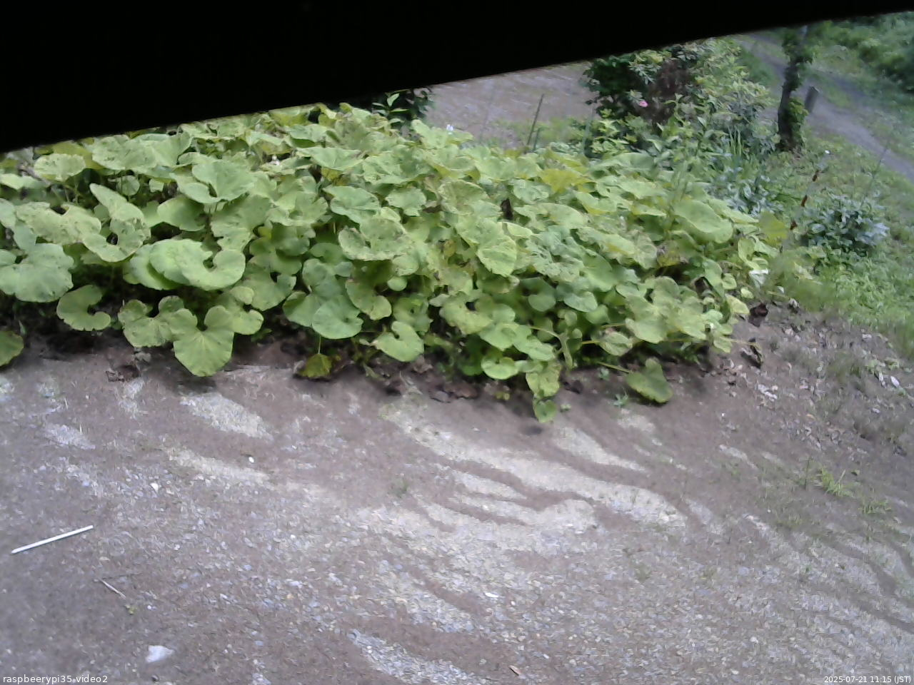 長野県菅平高原 ゆたか山荘 駐車場 2025/07/21 11:15