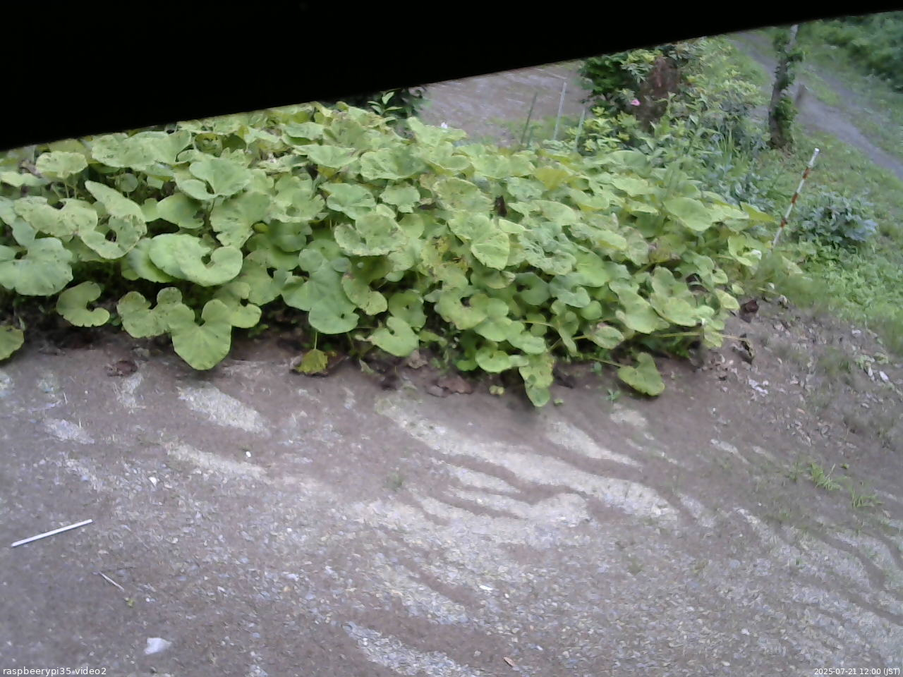 長野県菅平高原 ゆたか山荘 駐車場 2025/07/21 12:00