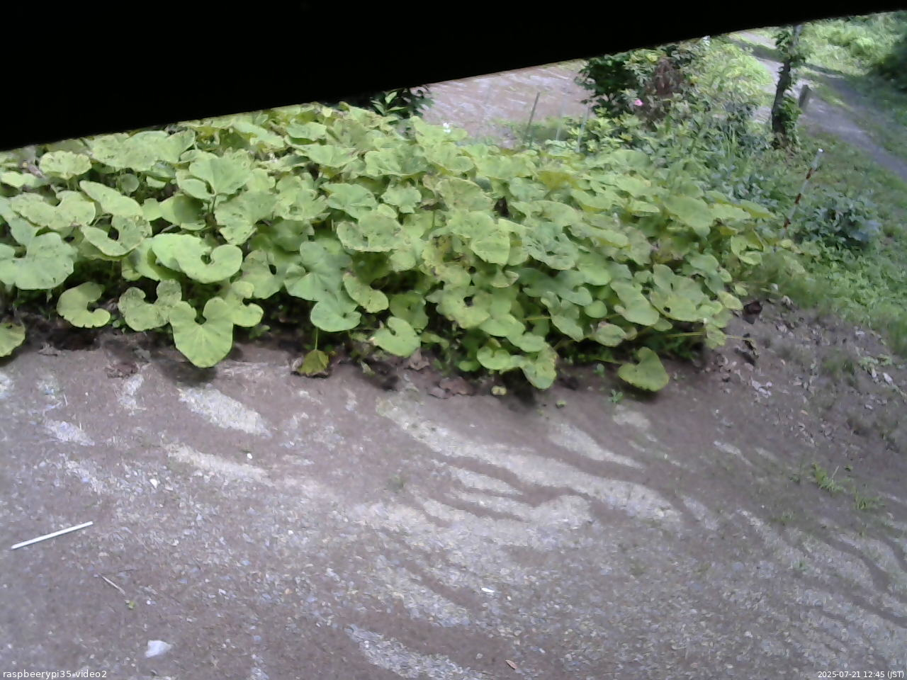 長野県菅平高原 ゆたか山荘 駐車場 2025/07/21 12:45