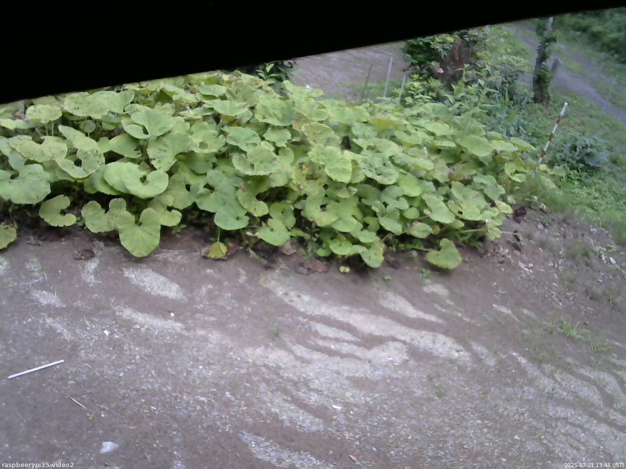 長野県菅平高原 ゆたか山荘 駐車場 2025/07/21 13:45