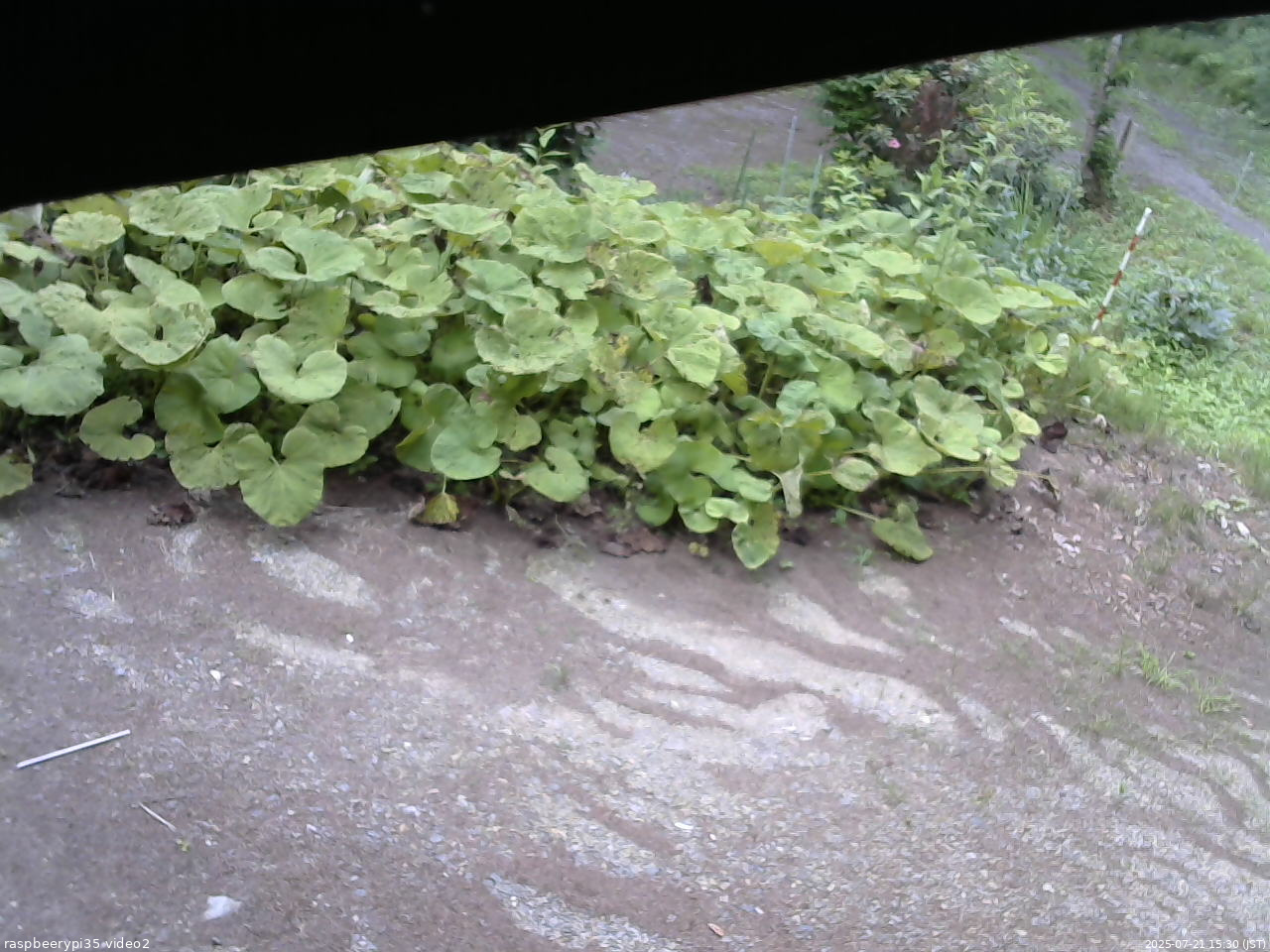 長野県菅平高原 ゆたか山荘 駐車場 2025/07/21 15:30
