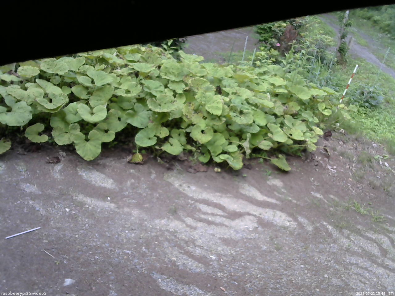 長野県菅平高原 ゆたか山荘 駐車場 2025/07/21 15:45