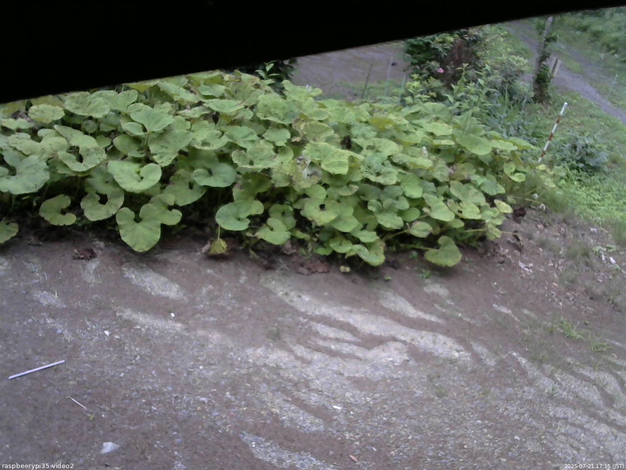 長野県菅平高原 ゆたか山荘 駐車場 2025/07/21 17:15