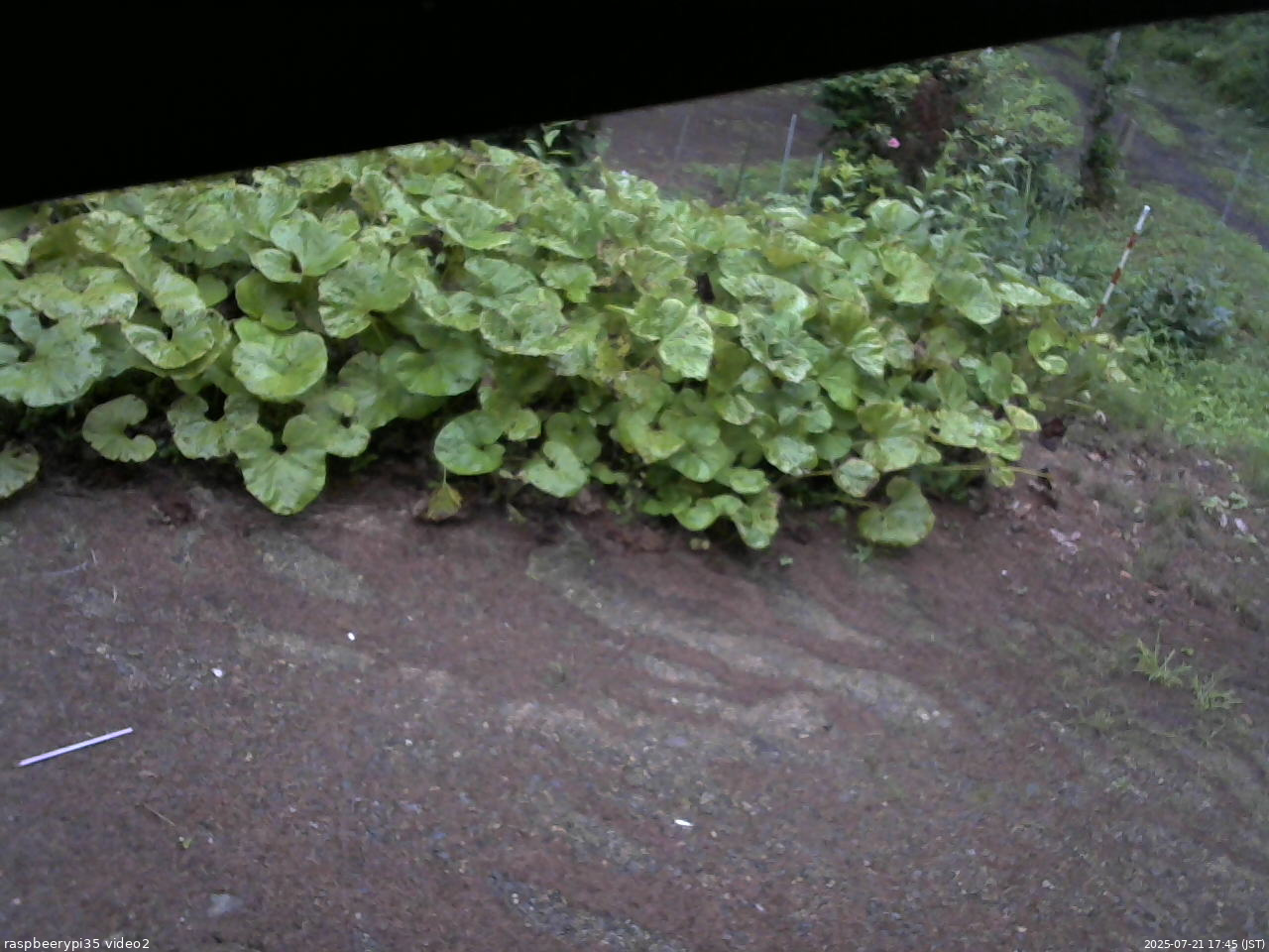 長野県菅平高原 ゆたか山荘 駐車場 2025/07/21 17:45