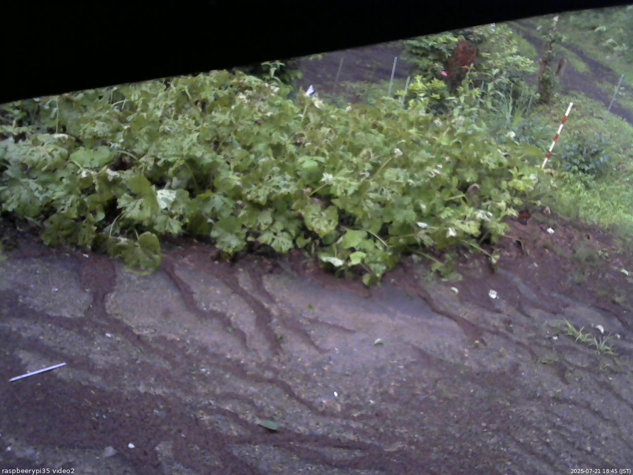 長野県菅平高原 ゆたか山荘 駐車場 2025/07/21 18:45