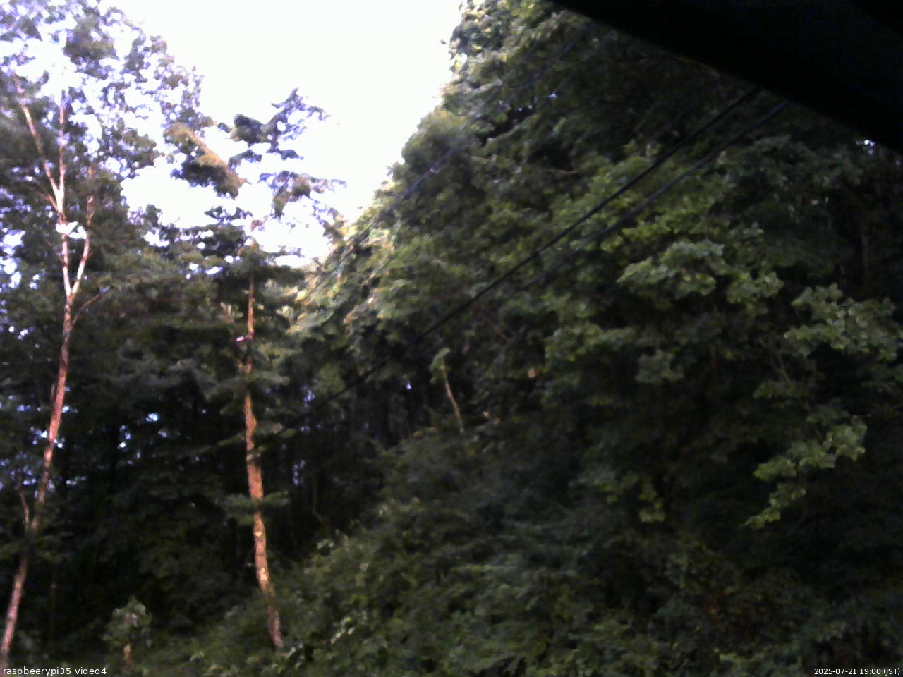 長野県菅平高原 ゆたか山荘 東側上空 2025/07/21 19:00