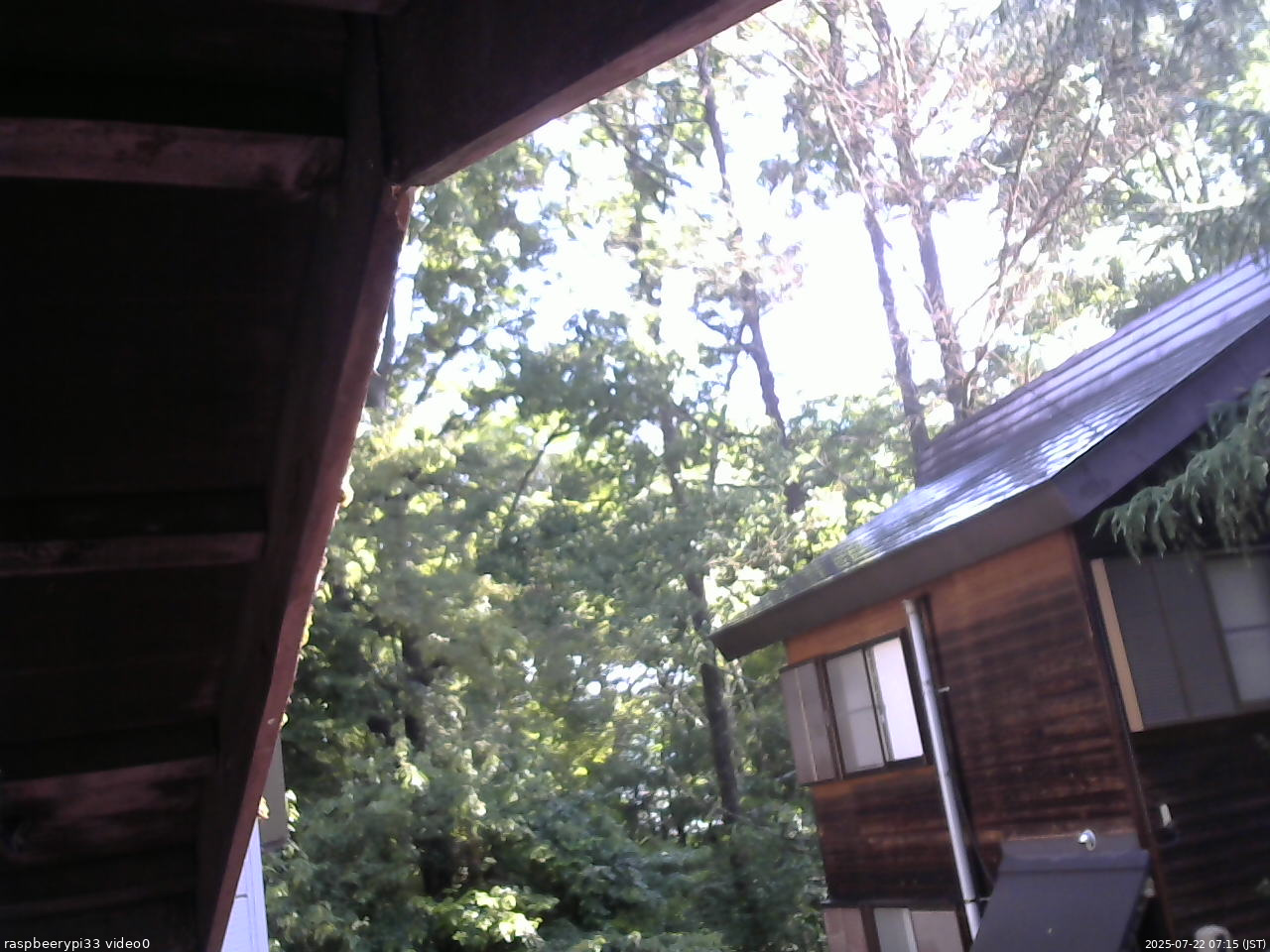 長野県菅平高原 ゆたか山荘 北側 2025/07/22 07:15