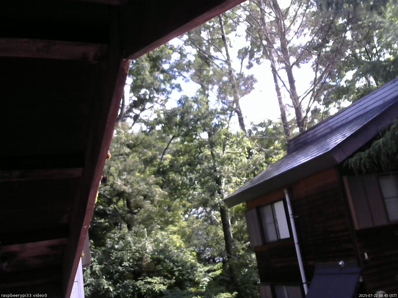 長野県菅平高原 ゆたか山荘 北側 2025/07/22 08:45