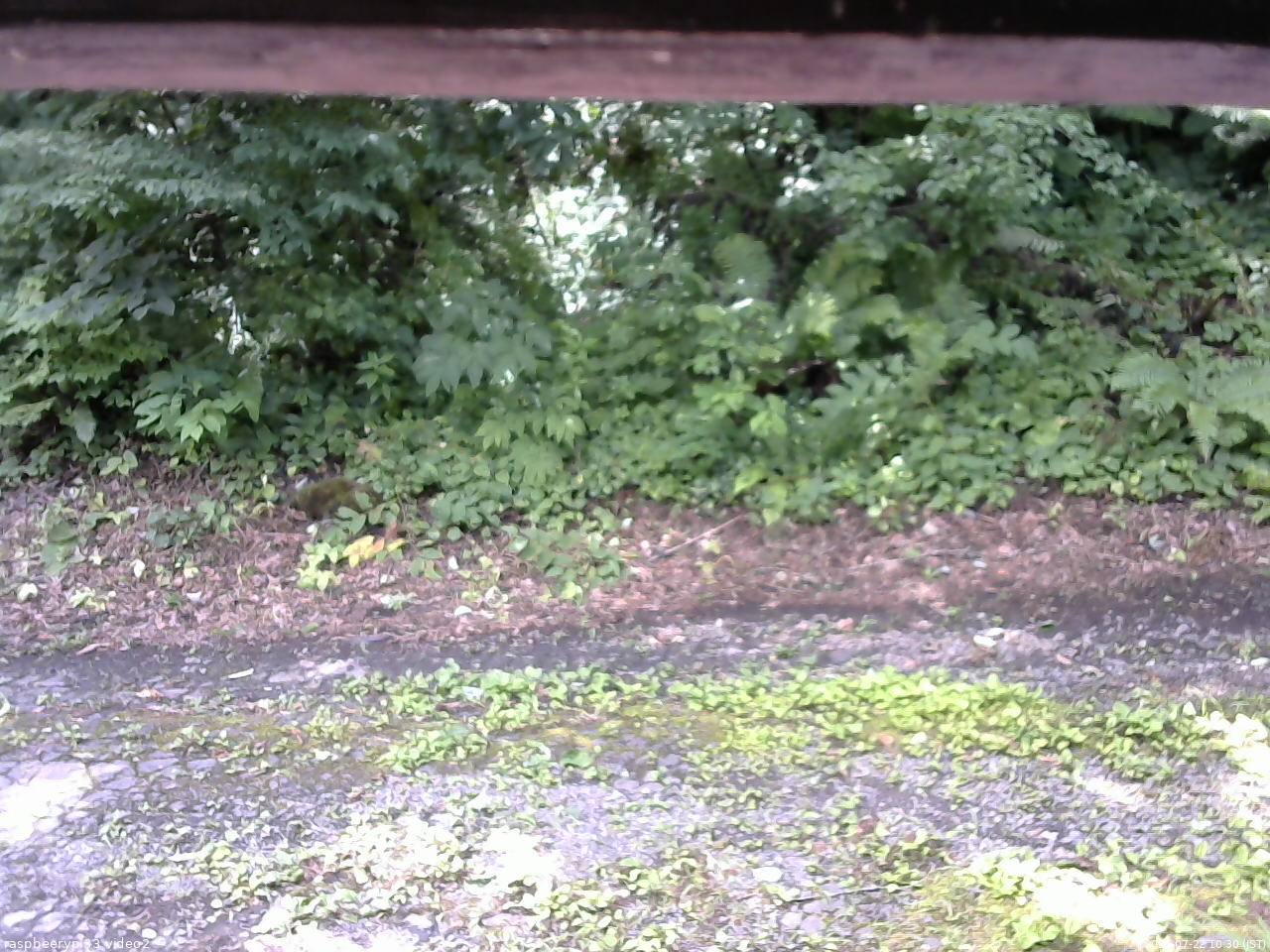 長野県菅平高原 ゆたか山荘 南側 2025/07/22 10:30